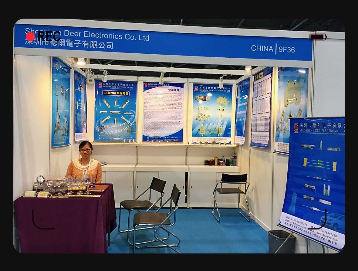 Hongkong Fair Exhibition 2015.jpg